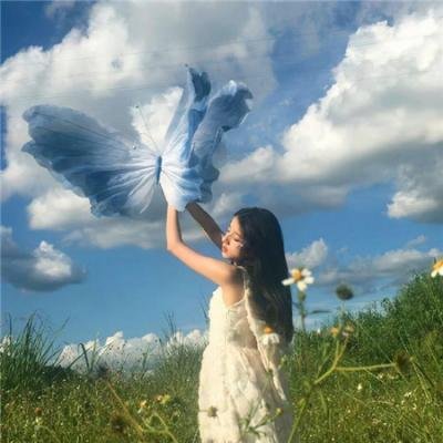 蜜蜂的秘密生活